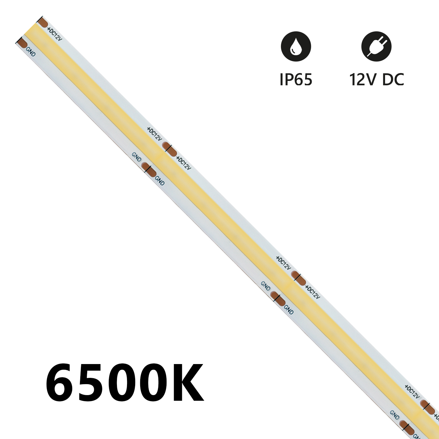 STRISCIA LED 5M. 12V 6500°K LUCE FREDDA